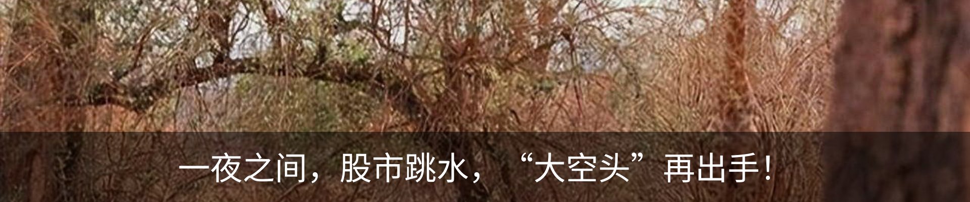 新闻动态