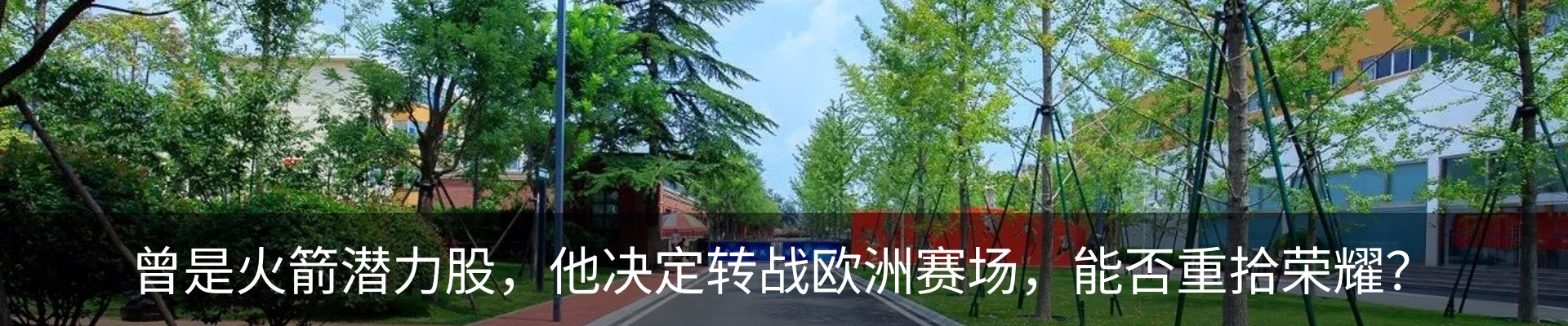 新闻动态