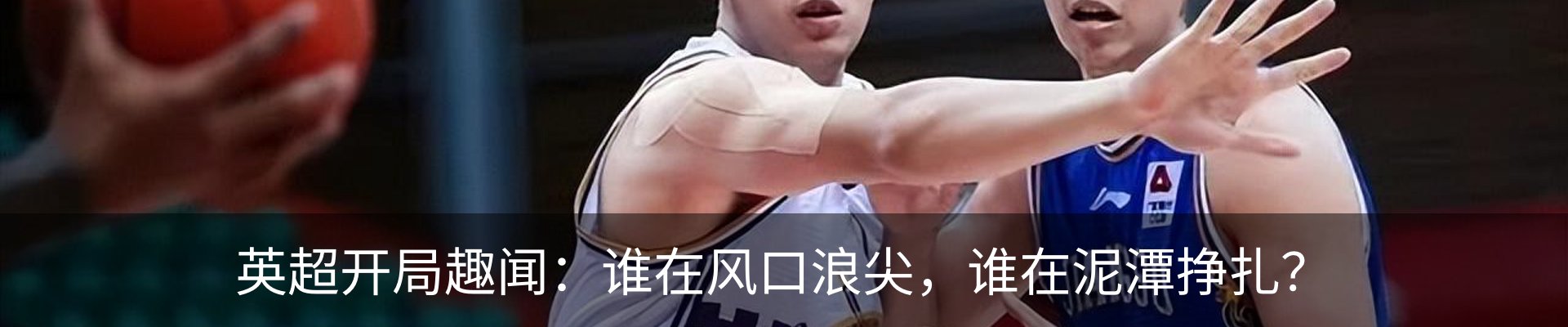 新闻动态
