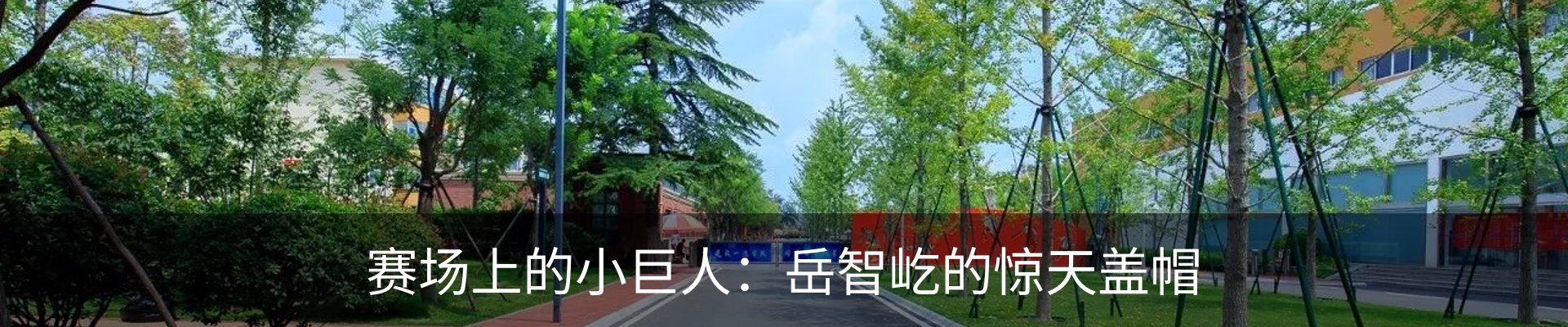 新闻动态