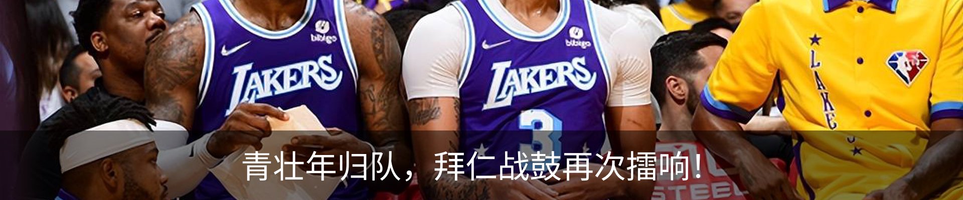新闻动态